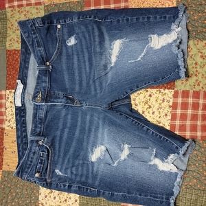 Torrid shorts